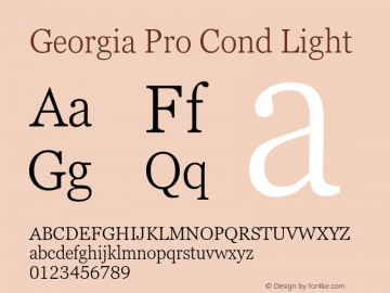 Georgia Pro Cond Light Version 6.12图片样张
