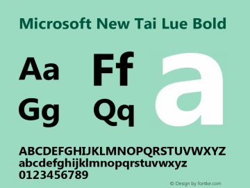 Microsoft New Tai Lue Bold Version 5.99 Font Sample