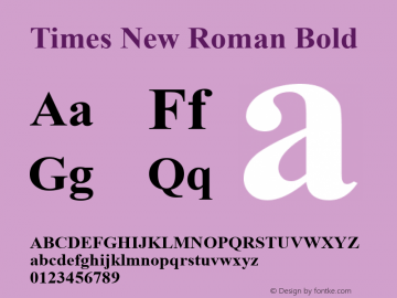Times New Roman Bold Version 7.00 Font Sample