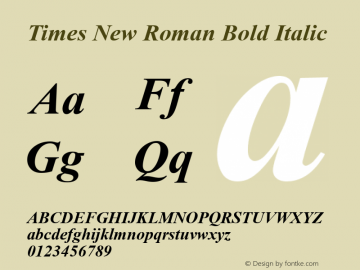 Times New Roman Bold Italic Version 7.00图片样张