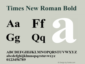 Times New Roman Bold Version 5.07图片样张