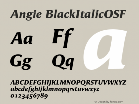 Angie-BlackItalicOSF Version 001.000 Font Sample