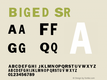 BigEd-Sr Version 001.000 Font Sample