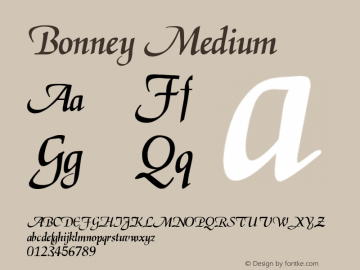Bonney Medium 001.000 Font Sample