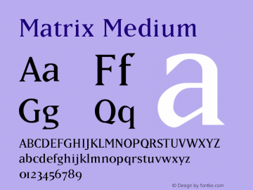 Matrix Version 001.000图片样张