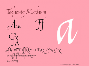 Tagliente Version 001.000 Font Sample