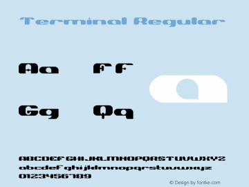 Terminal-Regular Version 001.000图片样张