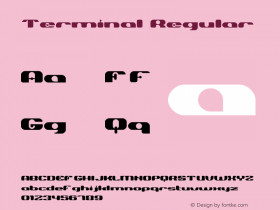 Terminal-Regular Version 001.000 Font Sample