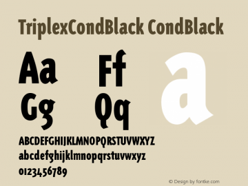 TriplexCondBlack Version 001.000图片样张