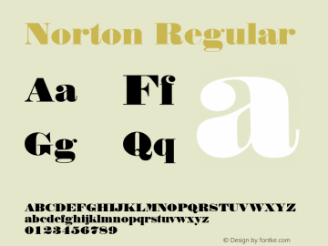 Norton Regular 1.0 Fri Nov 03 12:50:45 1995图片样张