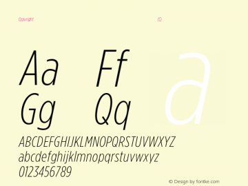 Copyright (C) H&Co | typography.com Version 2.301 Font Sample