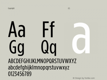 Copyright (C) H&Co | typography.com Version 2.301 Font Sample