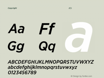 Copyright (C) H&Co | typography.com Version 3.301图片样张