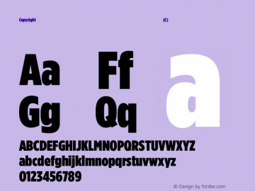 Copyright (C) H&Co | typography.com Version 3.301图片样张