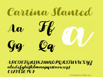 Cartina Slanted Version 1.000;PS 001.000;hotconv 1.0.88;makeotf.lib2.5.64775图片样张