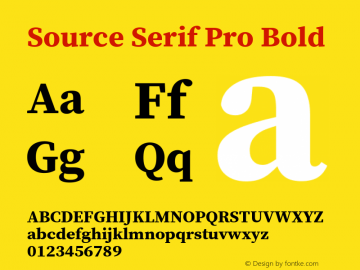 Source Serif Pro Bold Version 1.017;PS Version 1.0;hotconv 1.0.79;makeotf.lib2.5.61930图片样张