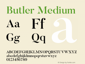 Butler Medium 1.000图片样张