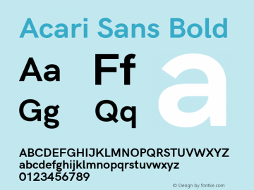 Acari Sans Bold Version 1.045;PS 001.045;hotconv 1.0.88;makeotf.lib2.5.64775; ttfautohint (v1.6)图片样张