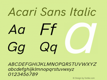 Acari Sans Italic Version 1.045;PS 001.045;hotconv 1.0.88;makeotf.lib2.5.64775; ttfautohint (v1.6) Font Sample