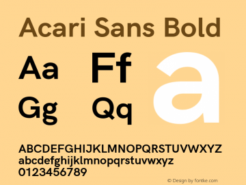 Acari Sans Bold Version 1.045;PS 001.045;hotconv 1.0.88;makeotf.lib2.5.64775; ttfautohint (v1.6) Font Sample