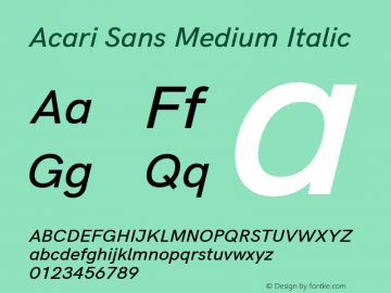 Acari Sans Medium Italic Version 1.045 Font Sample
