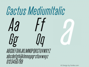 Cactus-MediumItalic 图片样张