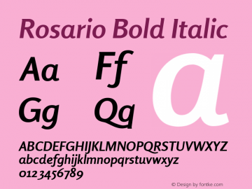 Rosario Bold Italic 001.000 Font Sample