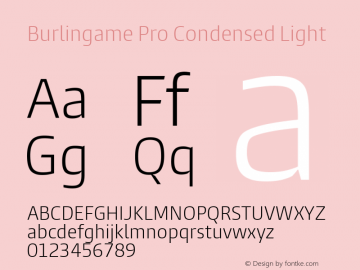 Burlingame Pro Condensed Light Version 1.000图片样张
