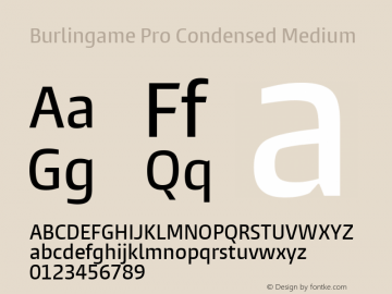 Burlingame Pro Condensed Medium Version 1.000图片样张