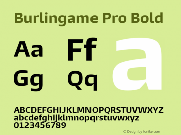 Burlingame Pro Bold Version 1.000图片样张