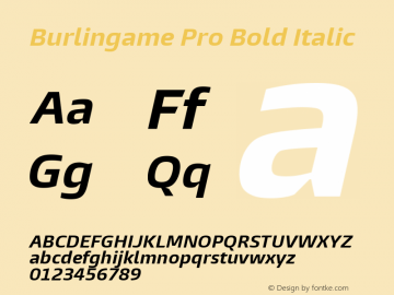 Burlingame Pro Bold Italic Version 1.000图片样张