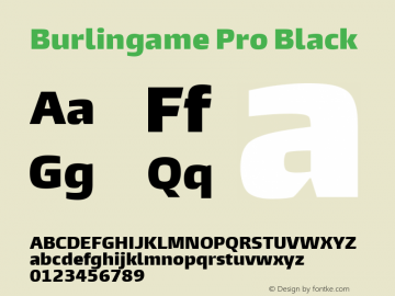 Burlingame Pro Black Version 1.000图片样张