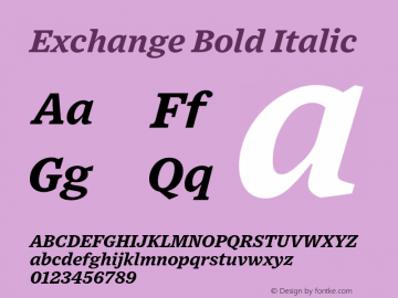 Exchange-BoldItalic Version 1.1 | wf-rip DC20170615 Font Sample