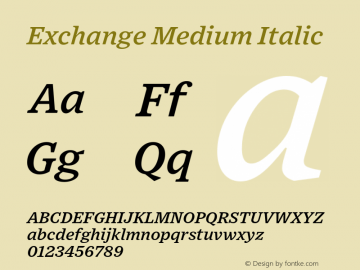 Exchange-MediumItalic Version 1.1 | wf-rip DC20170615 Font Sample