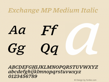 ExchangeMP-MediumItalic Version 1.1 | wf-rip DC20170615 Font Sample