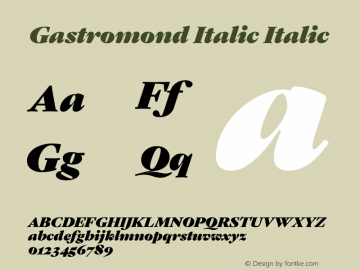 Gastromond Italic Version 1.001;PS 1.1;hotconv 1.0.88;makeotf.lib2.5.647800 DEVELOPMENT图片样张