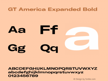 GT America Expanded Bold Version 5.001;PS 005.001;hotconv 1.0.88;makeotf.lib2.5.64775图片样张