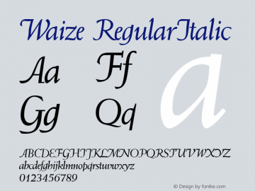 Waize RegularItalic 1.0 Tue Nov 07 15:12:37 1995 Font Sample