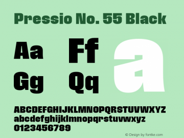 Pressio-No.55 Version 1.000;PS 001.000;hotconv 1.0.88;makeotf.lib2.5.64775 Font Sample