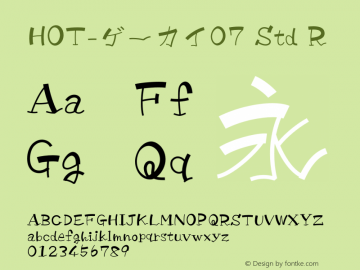 HOT-ゲーカイ07 Std R 图片样张