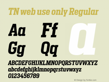 TN web use only V�e�r�s�i�o�n� �1�.�0 Font Sample