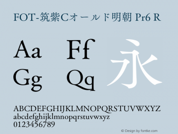 FOT-筑紫Cオールド明朝 Pr6 R 图片样张