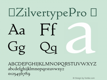 ☞ZilvertypePro Version 1.1;com.myfonts.easy.canadatype.zilvertype-pro.regular.wfkit2.version.4dnc图片样张