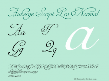 Auberge Script Pro Normal Version 1.000 Font Sample