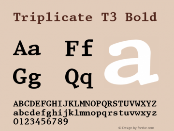 Triplicate T3 Bold 1.189 Font Sample