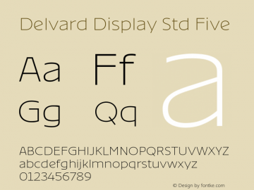 4690723e410381fb - subset of Delvard Disp Std Five Version 5.0; 2011图片样张