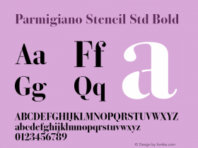 4736dab78a37b10b - subset of Parmigiano Stencil Std Bld Version 1.0; 2015图片样张