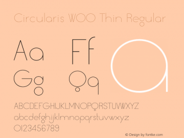 Circularis W00 Thin Version 1.00图片样张