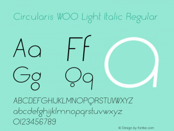 Circularis W00 Light Italic Version 1.00 Font Sample