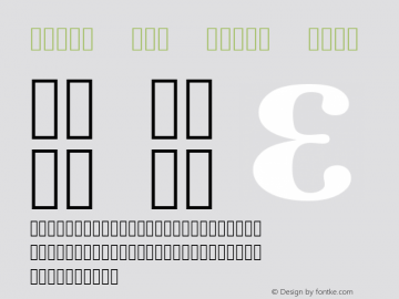 Times New Roman Bold Version 6.98图片样张